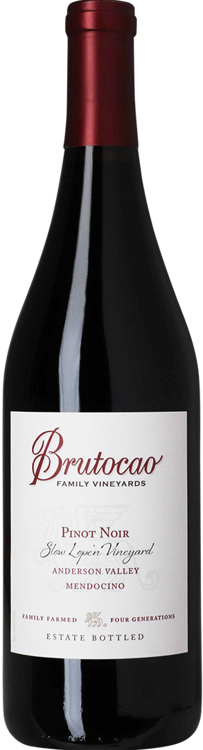 2017 Pinot Noir, Slow Lope'n Vineyard, Anderson Valley, Brutocao, Mendocino - Bottle Hero