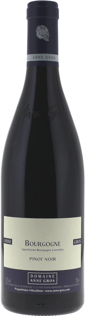 Bourgogne Pinot Noir Domaine Gros Anne - Magnum 1,5L, 2018 - Bottle Hero