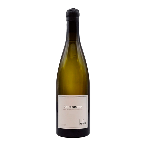 Domaine Lamy-Caillat Bourgogne Blanc 2020 - Bottle Hero