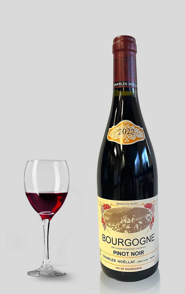 Bourgogne Pinot Noir Domaine Charles Noëllat 2022 - Bottle Hero