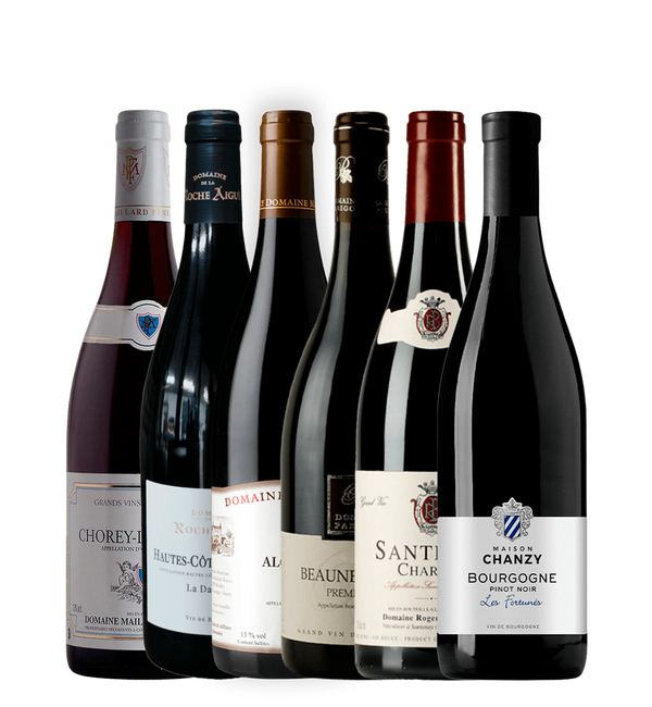 Bourgogne Pinot Noir Kassen – 6 flasker - Bottle Hero