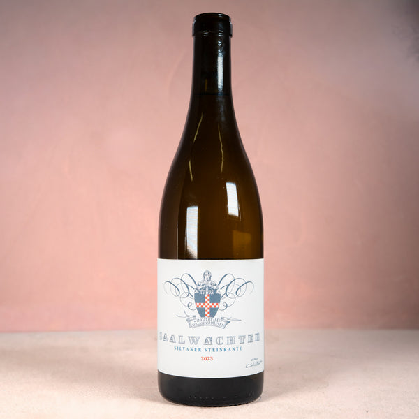 Carsten Saalwächter, Silvaner Steinkante 2023 - Bottle Hero