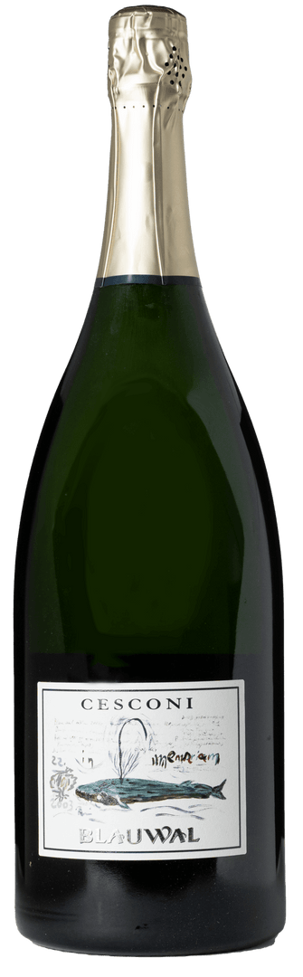 Cesconi, Blauwal Brut Doc Ris. 2010 - Bottle Hero
