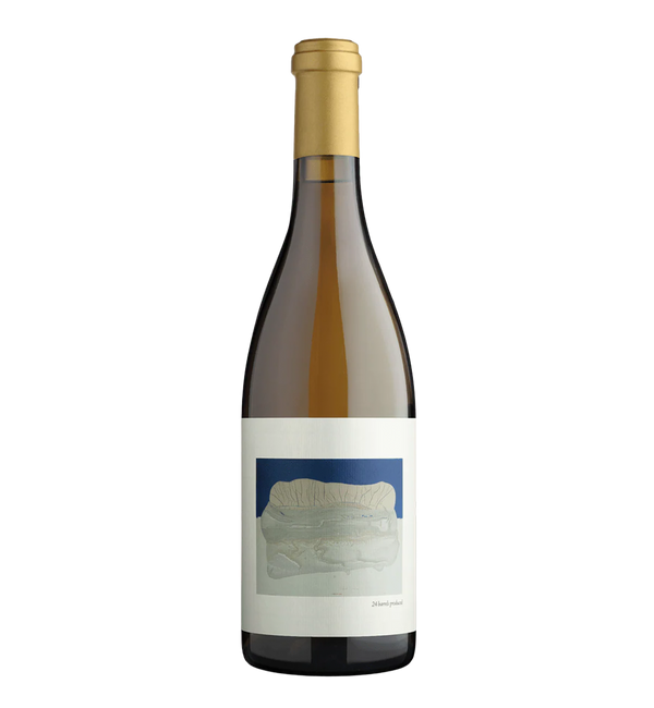 Chanin Bien Nacido Vineyard Chardonnay 2021 - Bottle Hero