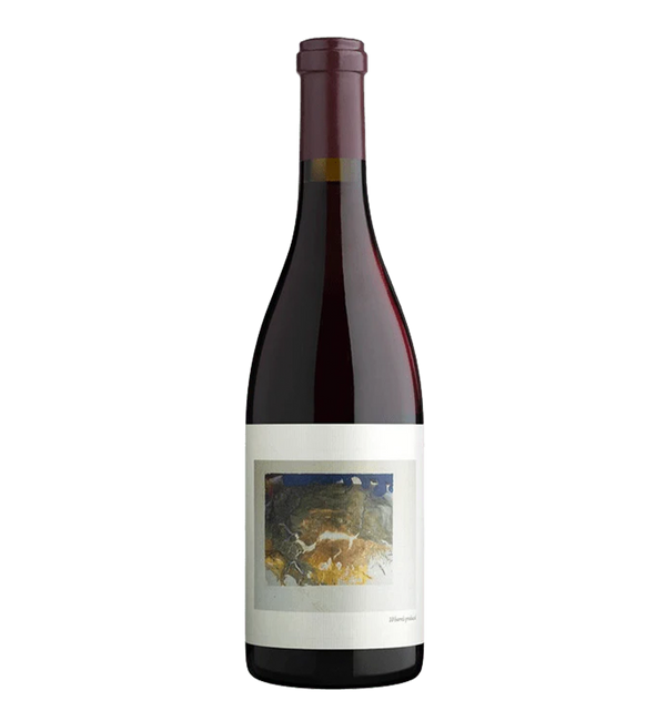 Chanin Bien Nacido Vineyard Pinot Noir 2021 - Bottle Hero