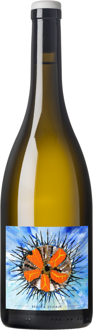 Regis et Sylvain, Muscadet Sèvre et Maine Sur Lie, 2024 - Bottle Hero