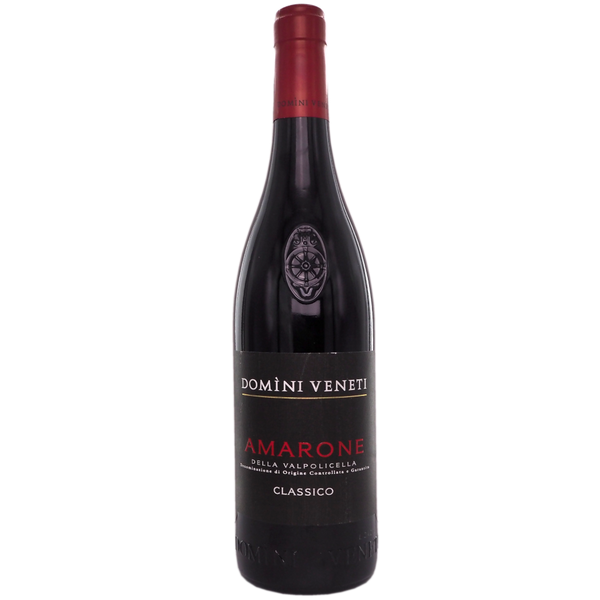 Domini Veneti Amarone Classico 2021 - Bottle Hero