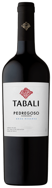 Tabali, Pedregoso Gran Reserva Carmenere 2023 - Bottle Hero