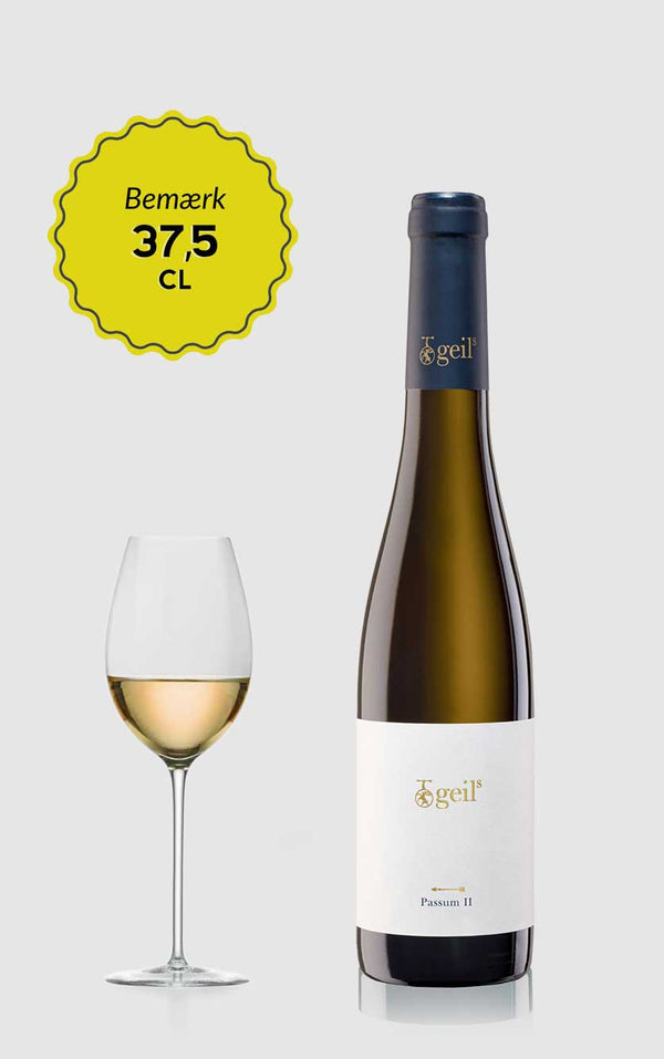 Auslese Passum III Albalonga Weingut Geils 2021 White - Bottle Hero