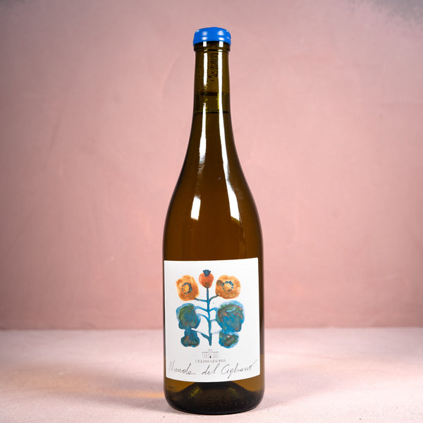Cigliano di Sopra, Nuvola 2023 - Bottle Hero