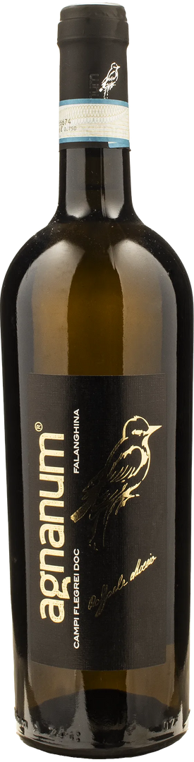 Agnanum Campi Flegrei Falanghina 2024