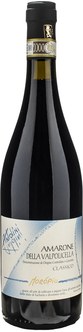 Antolini Amarone della Valpolicella Moropio 2021