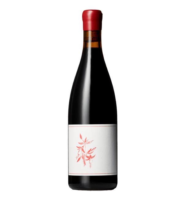 Arnot-Roberts Pinot Noir Heaven and Earth Vineyard 2021 - Bottle Hero