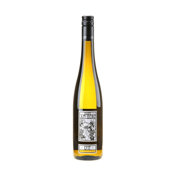 Bernhard Ott Grüner Veltliner am Berg Bio 2025 - Bottle Hero