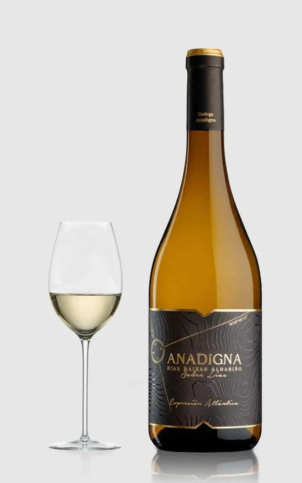 Bodegas Anadigna, Sobre Lias Albarino 2023 White - Bottle Hero