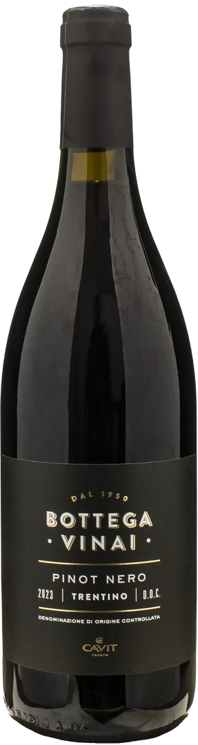 Bottega Vinai Pinot Nero Trentino 2023