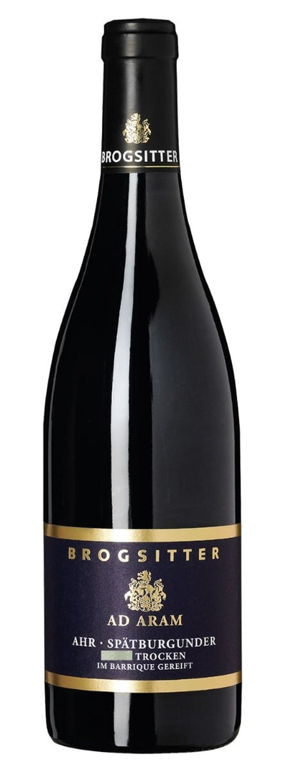 Brogsitter Weingüter, Rheinhessen Edition-B Spätburgunder Trocken Barrique 2018 - Bottle Hero