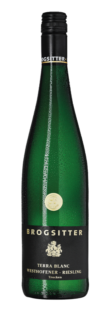 Brogsitter Weingüter, Rheinhessen Terra Blanc Riesling 2022 - Bottle Hero