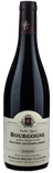 Bruno Clavelier Bourgogne Pinot Noir Les Champs d'Argent 2020 - Bottle Hero