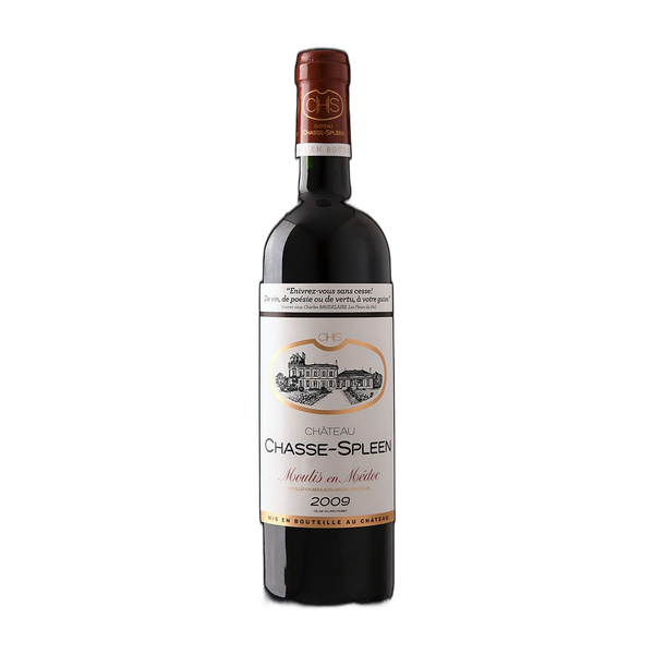 Chasse-Spleen Moulis En Médoc, 2009 - Bottle Hero