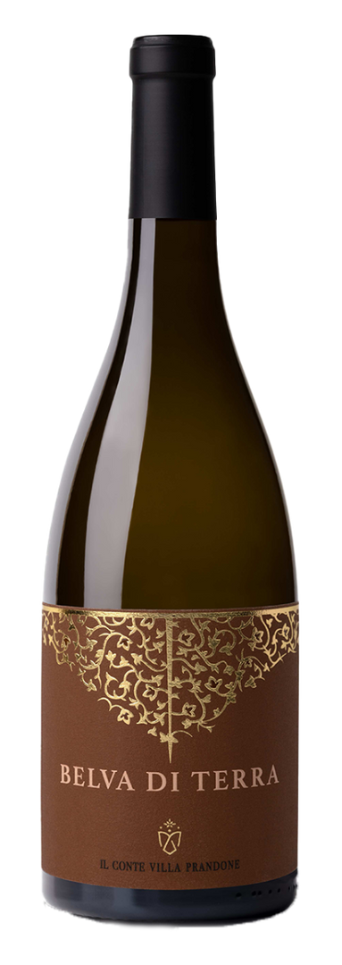 Il Conte Villa Prandone, Offida Pecorino Belva di Terra 2022 White - Bottle Hero