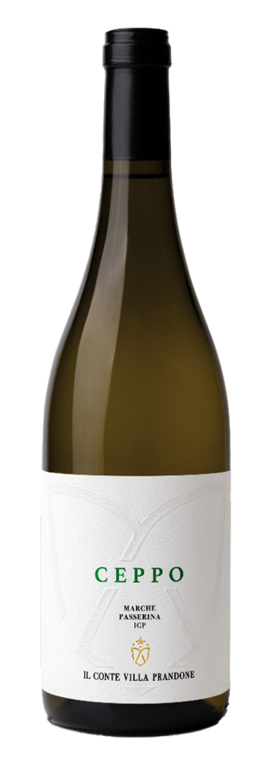 Il Conte Villa Prandone, Marche Ceppo 2023 White - Bottle Hero