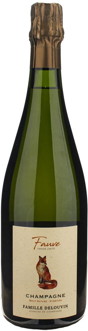 Delouvin Nowack Champagne Fauve Brut Nature 2018 - Bottle Hero