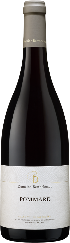 Domaine Berthelemot, Pommard Village, 2023 - Bottle Hero