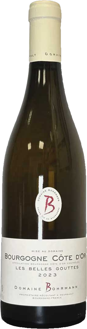 Domaine Bohrmann, Bourgogne Côte d'Or Blanc 2023 - Bottle Hero