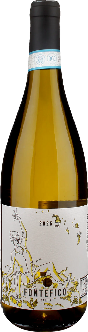 Fontefico Pecorino Superiore La Canaglia 2025 - Bottle Hero