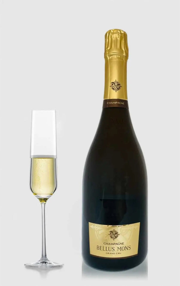Paul Sadi, Champagne Bellus Mons 2017 - Bottle Hero
