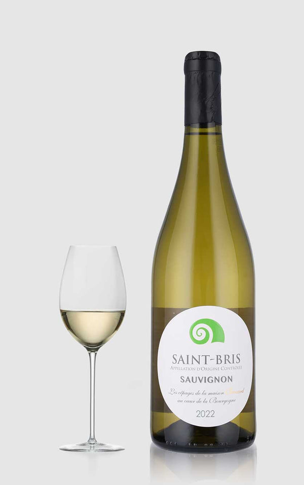 Saint Bris Sauvignon Blanc Domaine Jean-Marc Brocard 2022 - Bottle Hero