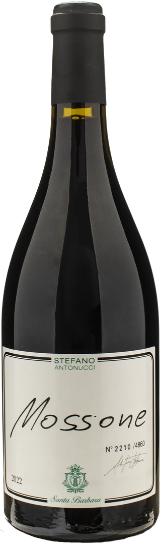 Santa Barbara Stefano Antonucci Mossone Merlot 2022