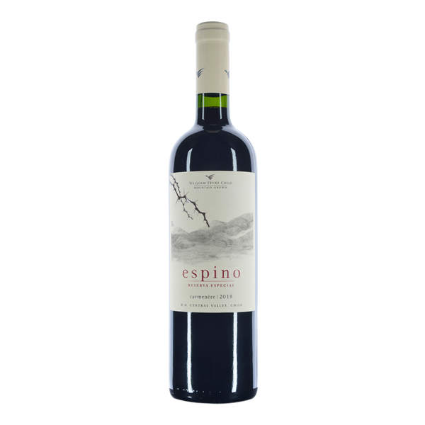 Espino Carmenere  2019 - Bottle Hero